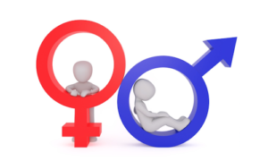 男性と女性の脳の違いは？リベンジポルノを恋愛脳科学から考察する