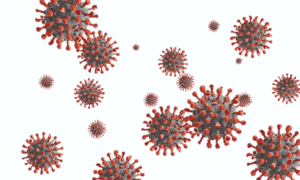 市場か私情か？稼いだ金額をアイデンティティ化する人に抜け落ちたもの